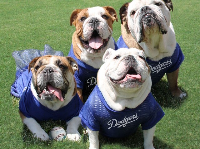 BarkinthePark_DodgerDogs_NaturalBalance