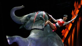 Ringling_Bros Circus