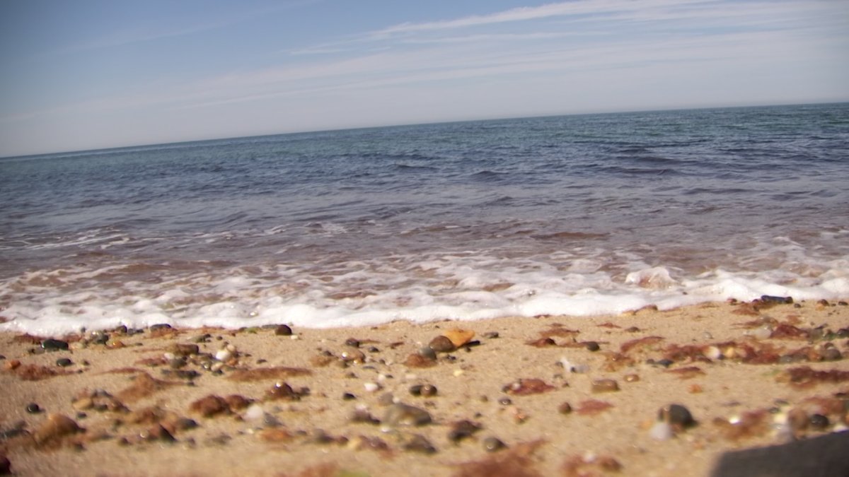 Beach warnings issued as heat sends residents to coast