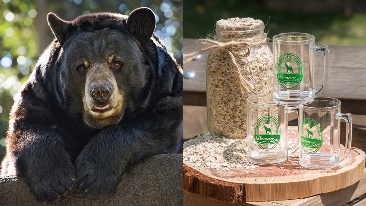 Bear Black Ranger JEP_0558-horz