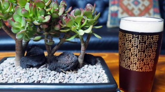 Beer-Bonsai-Boomtown-845x321