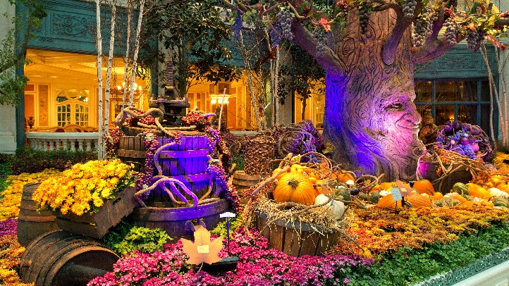 BellagioConservatoryTalkingTree