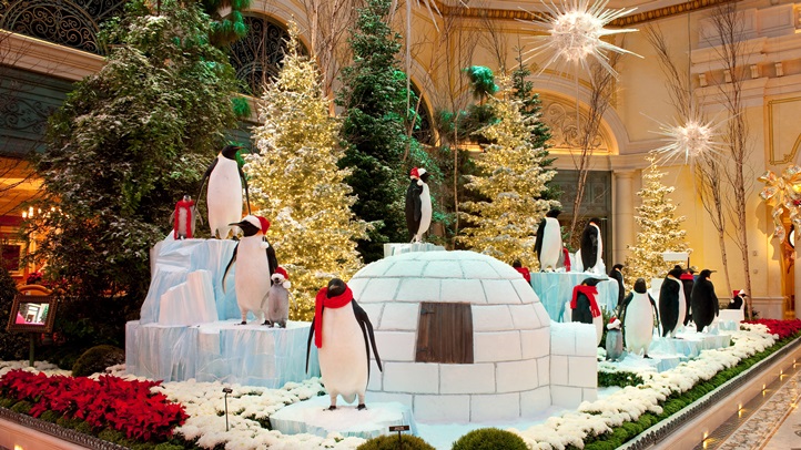 BellagioPenguins_MGMResortsInternational