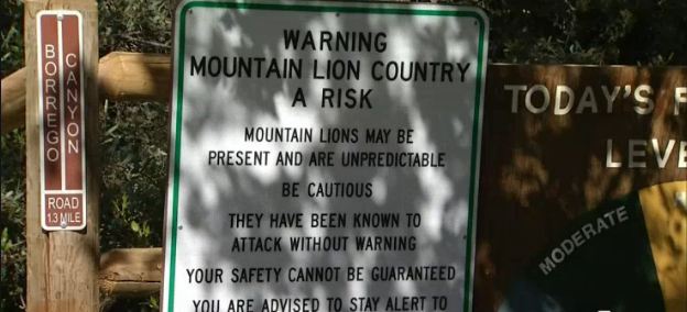 Borrego Canyon