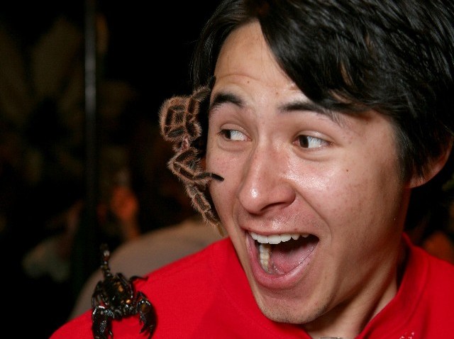 BugFair2010