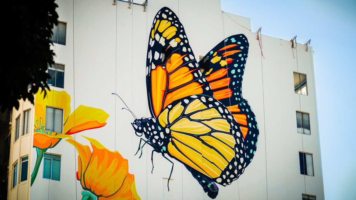 Butterflies in the Sky Fearless Artists Paint Towering Mural in San