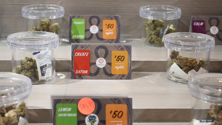 Cannabis-Social-Equity-Program-1090027228