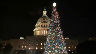 Capitol Christmas tree