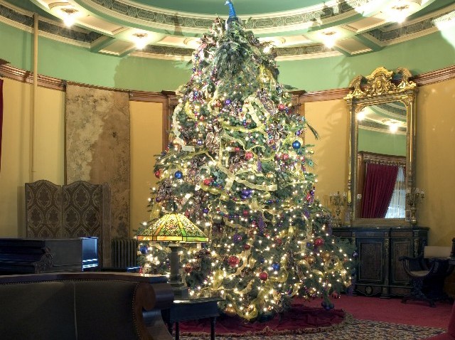 CastleTreeReflectionTree