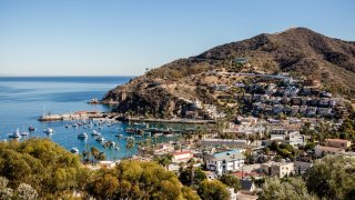 Catalina-Island-Co-FiglewiczPhotography-00028