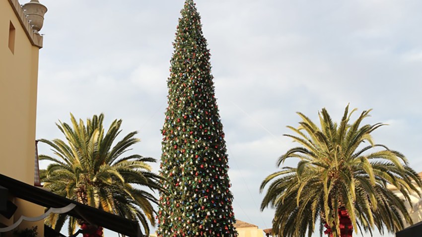Citadel Outlets Tree