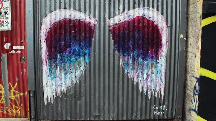 ColetteMillerWings