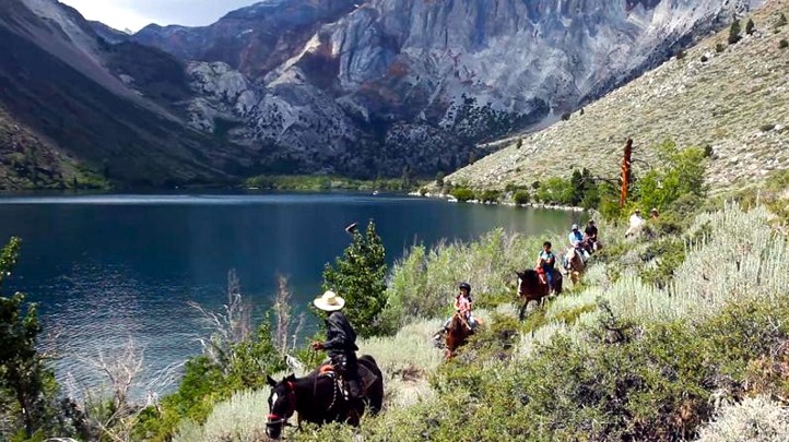 ConvictLakeResortHorse