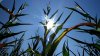 Southland to get no relief from heat all week