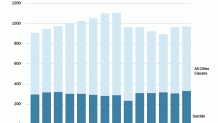 Deaths_in_Jails1