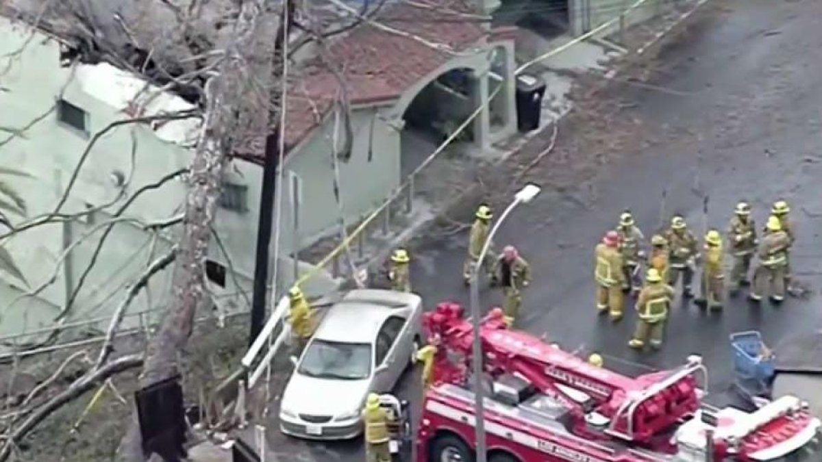 Man Rescued Residents Displaced After Massive Tree Topples In Storm