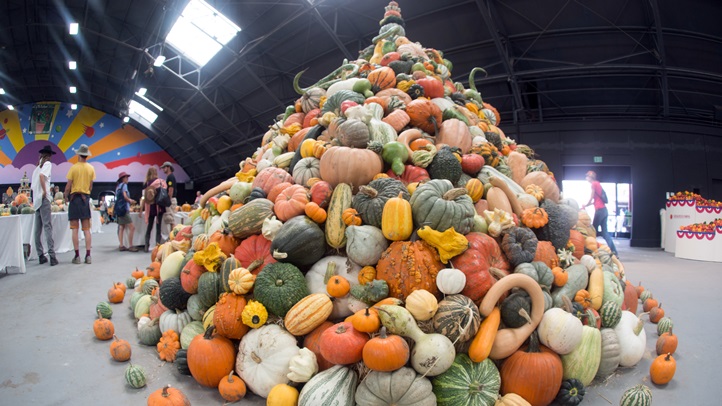 ExpoSquashTowerDisplay