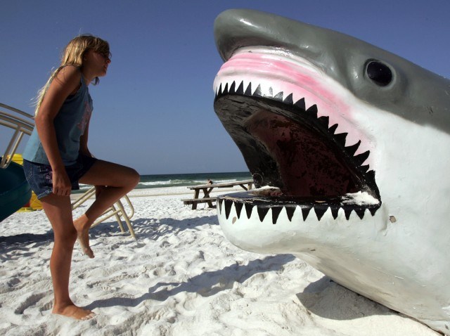 FakeShark_53191027