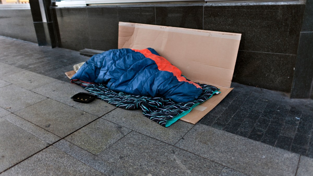 PetFriendly Homeless Shelter Opens in Vacant Building in San Pedro