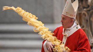 Pope Francis holds a palm branch as he celebrates Palm Sunday