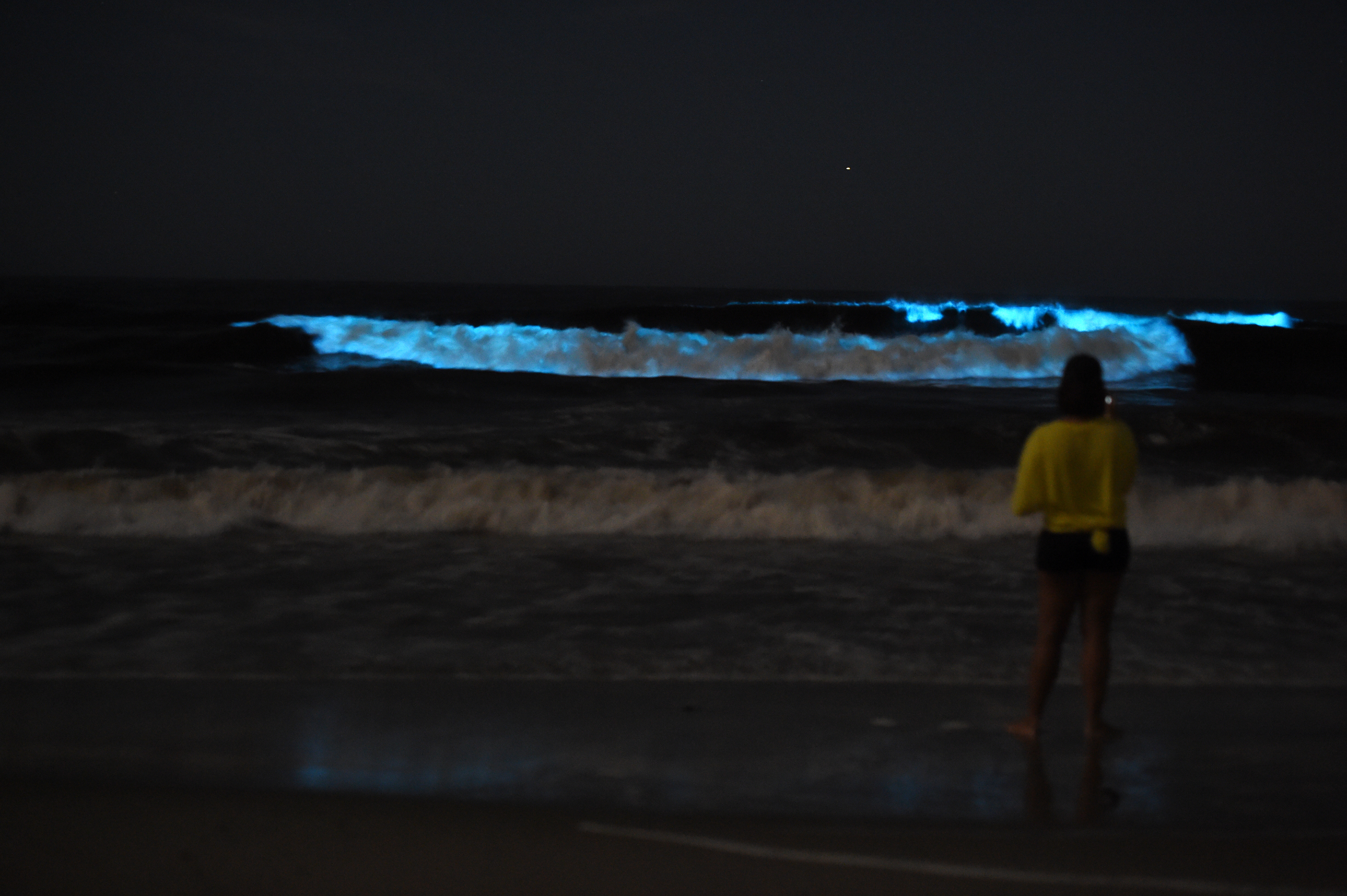 Photos See EyeCatching Electric Blue Waves on the Southern California