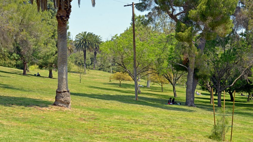 A few small groups of people relax at a recently re-opened Elysian Park during the coronavirus pandemic on May 09, 2020 in Los Angeles, California.