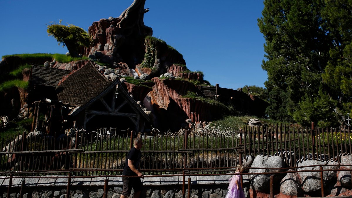 Disney Fans Call to Change Splash Mountain Theme Due to Racist