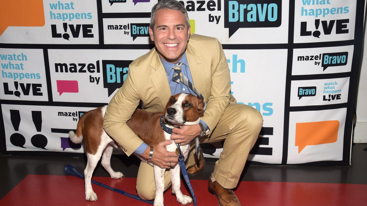 Andy Cohen Announces That He Has Re-Homed Adopted Dog ...