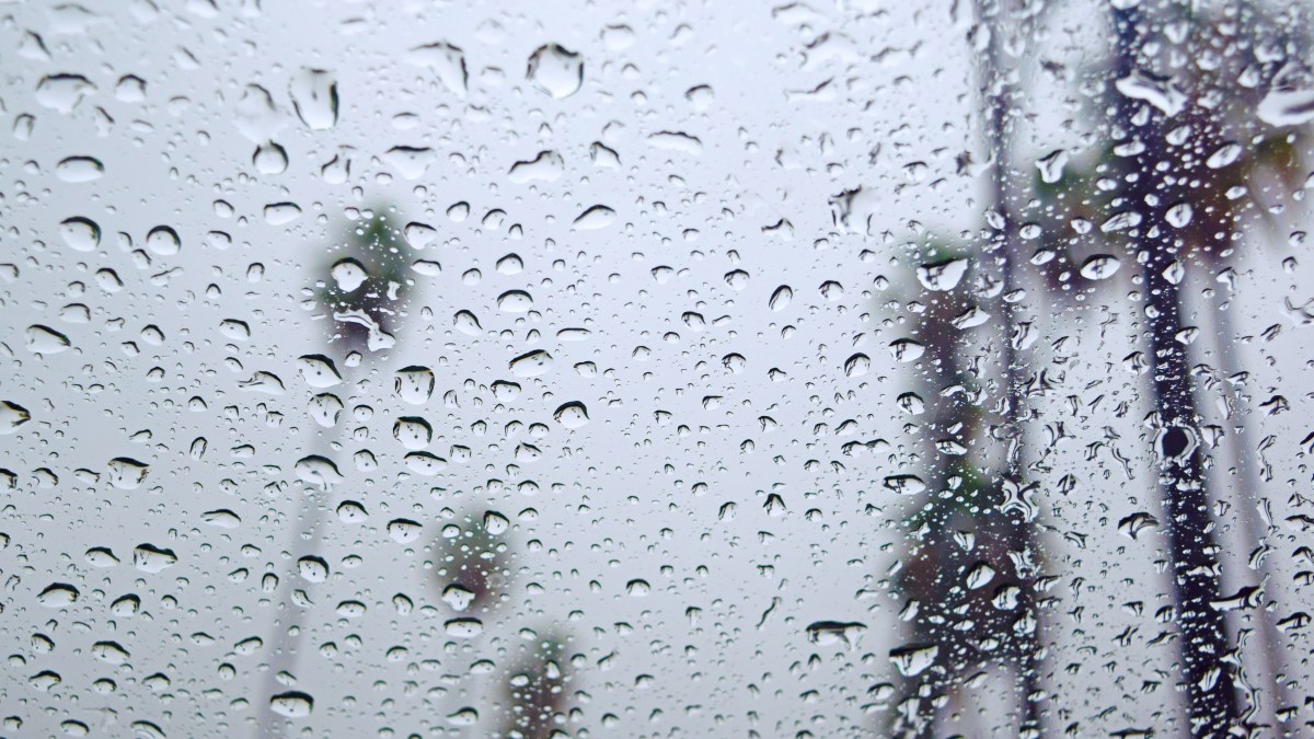 Here’s When and Where to Expect Rain and Snow When a Cold Storm Arrives