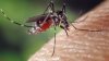 Arcadia reports first West Nile virus case of year