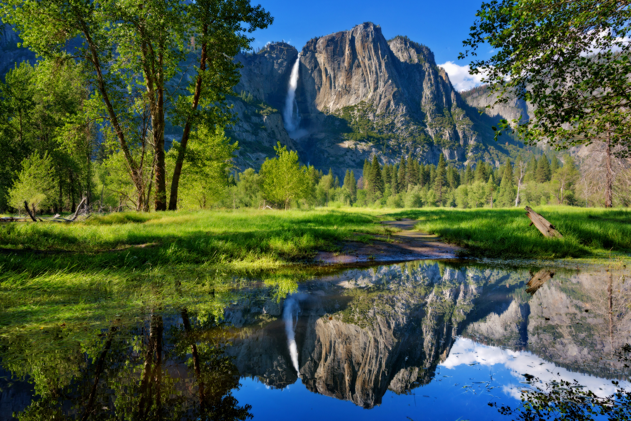 Let’s Look Back at Yosemite’s Ethereal Waterfalls – NBC Los Angeles