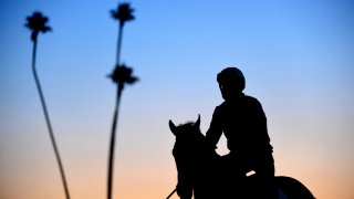 A rider and horse during training at Santa Anita Park.