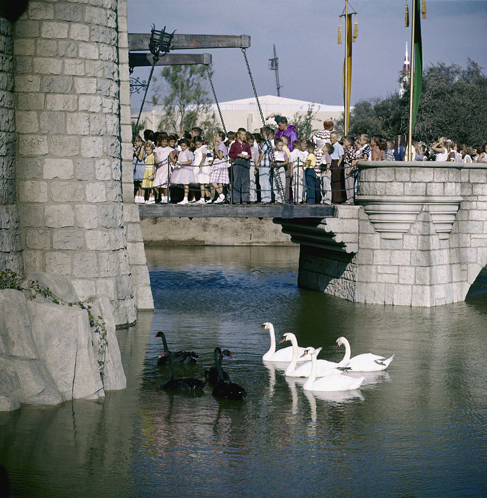 Disneyland Tradition Heritage Culture 1955 Walt Disney and