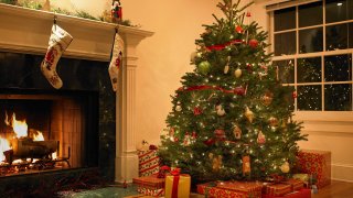 Christmas tree in living room