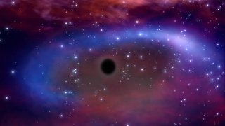 Generic Black Hole