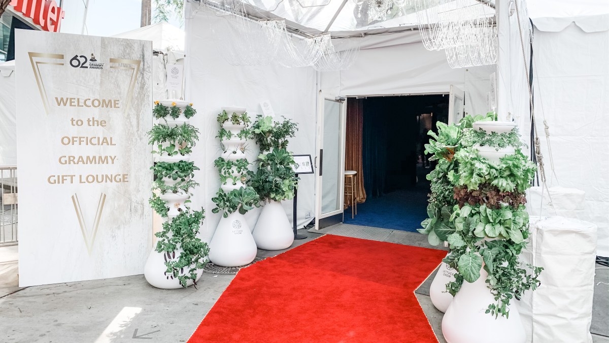 See What’s Inside The Official Grammys Gift Bag and Lounge NBC Los