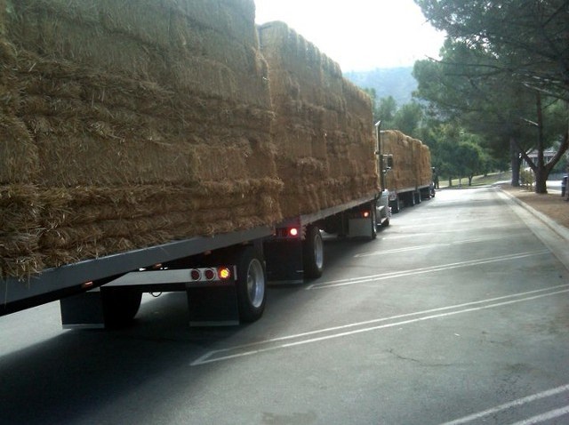 HauntedHayrideGriffithPark