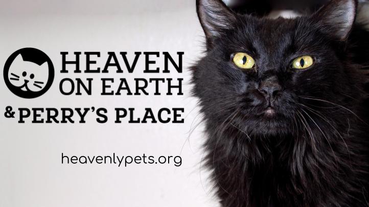 Https Www Nbclosangeles Com Local Am Forecast Monday