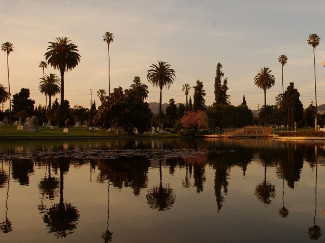 HollywoodForeverPond_72484869