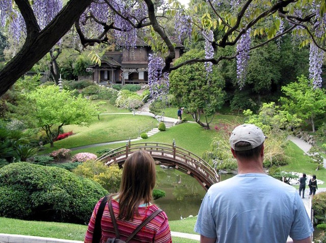 HuntingtonJapaneseWisteria
