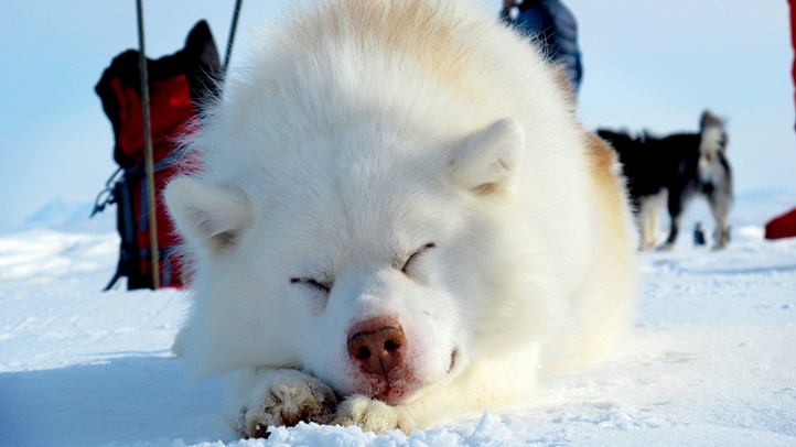 Https Www Nbclosangeles Com News National International Fact Check Trump Off Base On Vets Health Payments 2029528 2017 07 31t16 06 16 00 00 Https Media Nbclosangeles Com 2019 09 Trump Police Jpg Fit 1024 2c576 Https Www Nbclosangeles