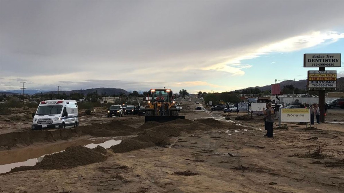 Storm Causes Joshua Tree National Park Flooding, Closures NBC Los Angeles