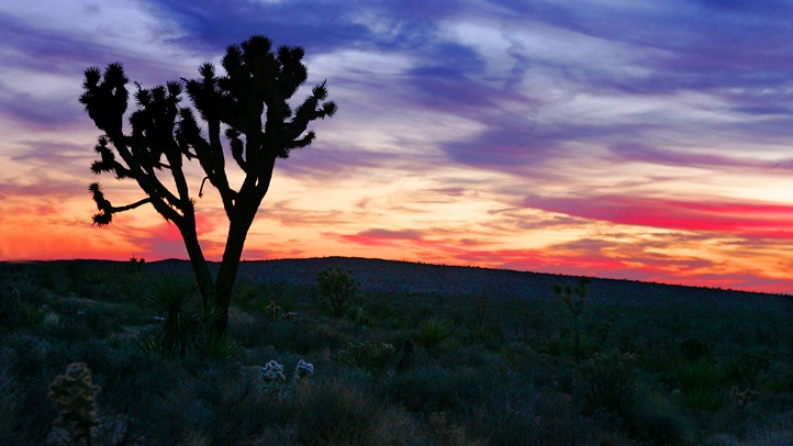 51551648CA002_joshua