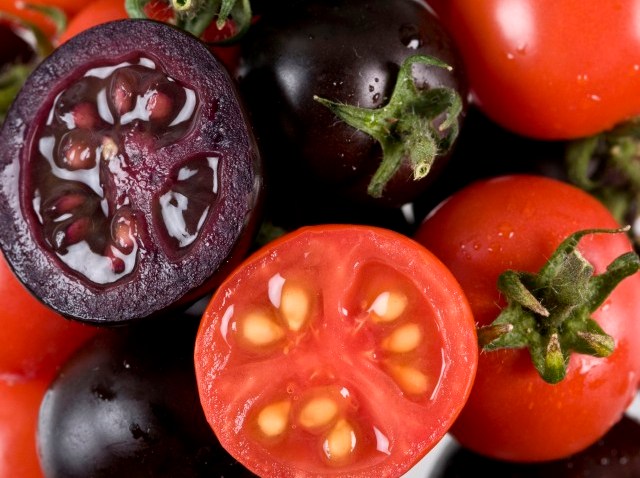 JuicyTomatoes_83449895