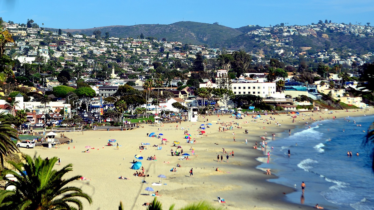 Experts Hope To Free Entangled Laguna Beach Whale Nbc