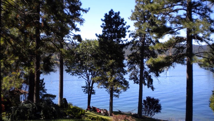 LakeArrowheadtrees