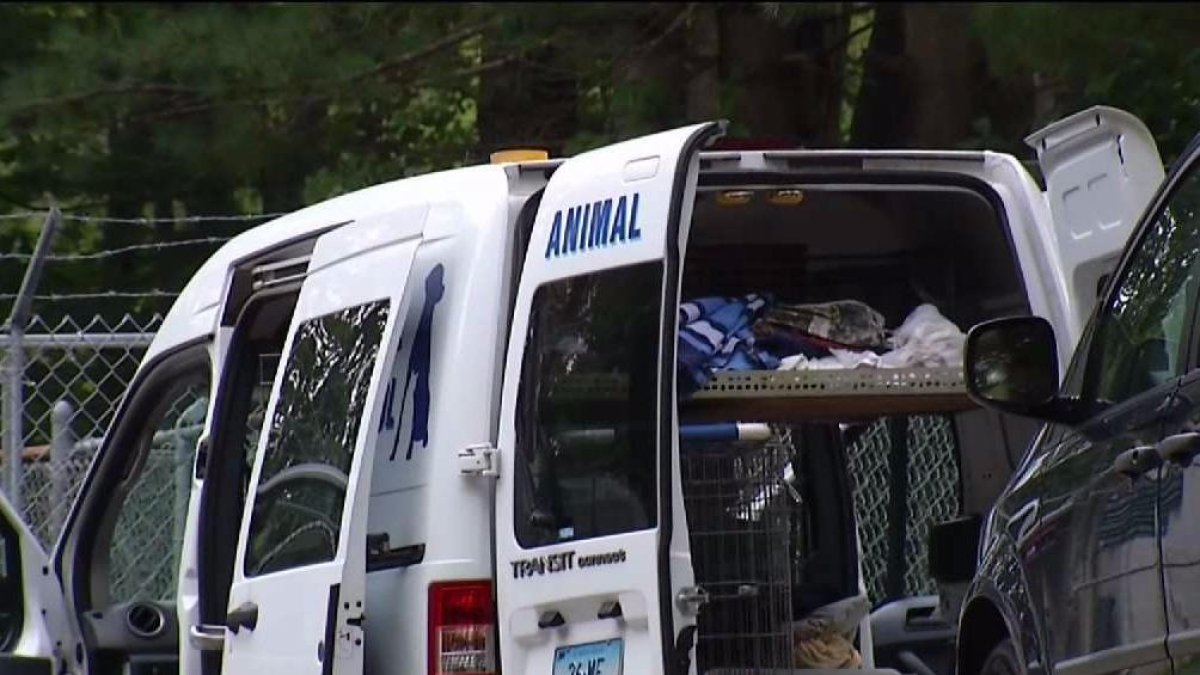 Dog Attack Kills Owner in Castaic – NBC Los Angeles