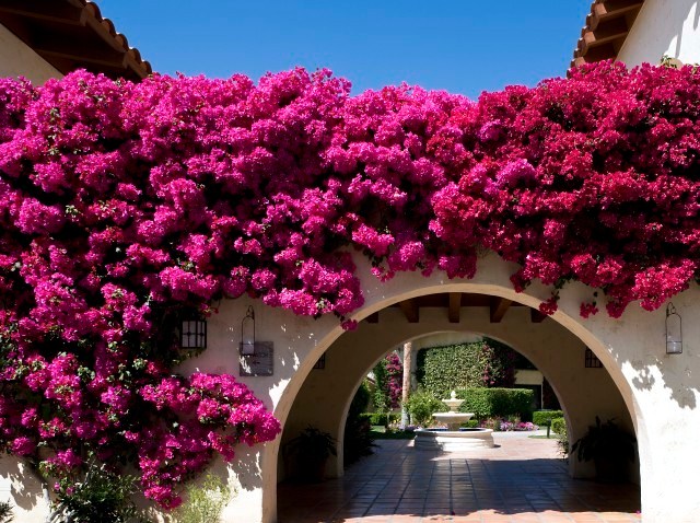 MiramonteResortandSpa