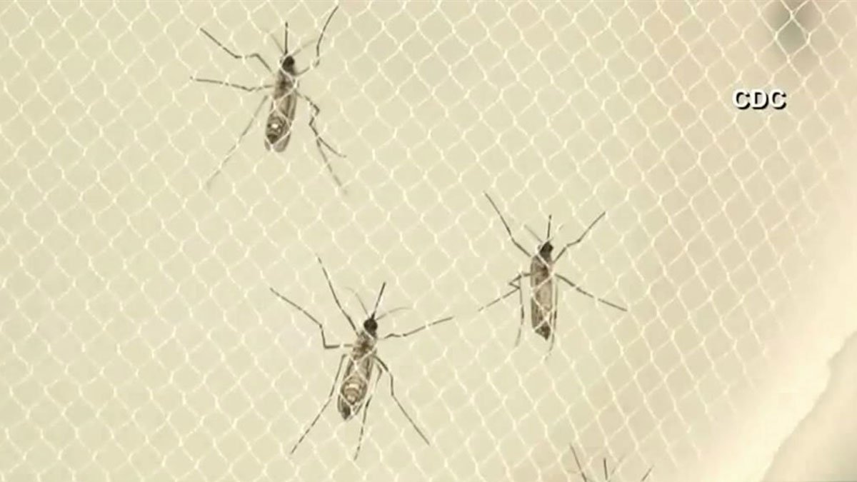 LA County's West Nile cases reach 10-year high as mosquito season persists
