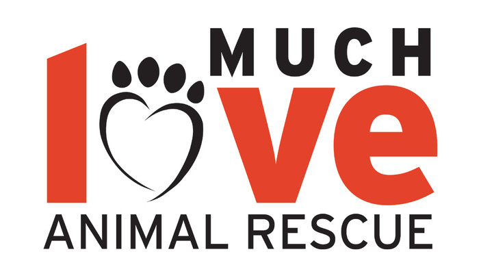 Much Love Animal Rescue